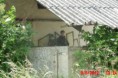 /album/vsetaty-9-6-2012/cimg1271-jpg/